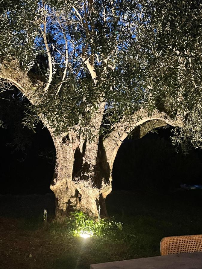 Villa La Carpenée Roquefort-les-Pins Esterno foto