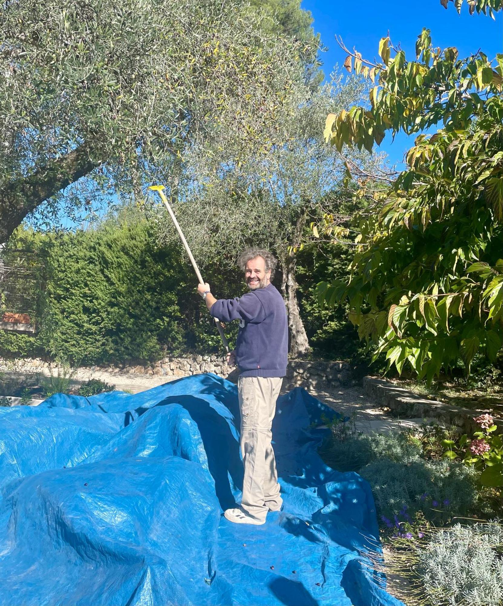 Villa La Carpenée Roquefort-les-Pins Esterno foto
